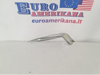 Fog Lamp Applique, Left